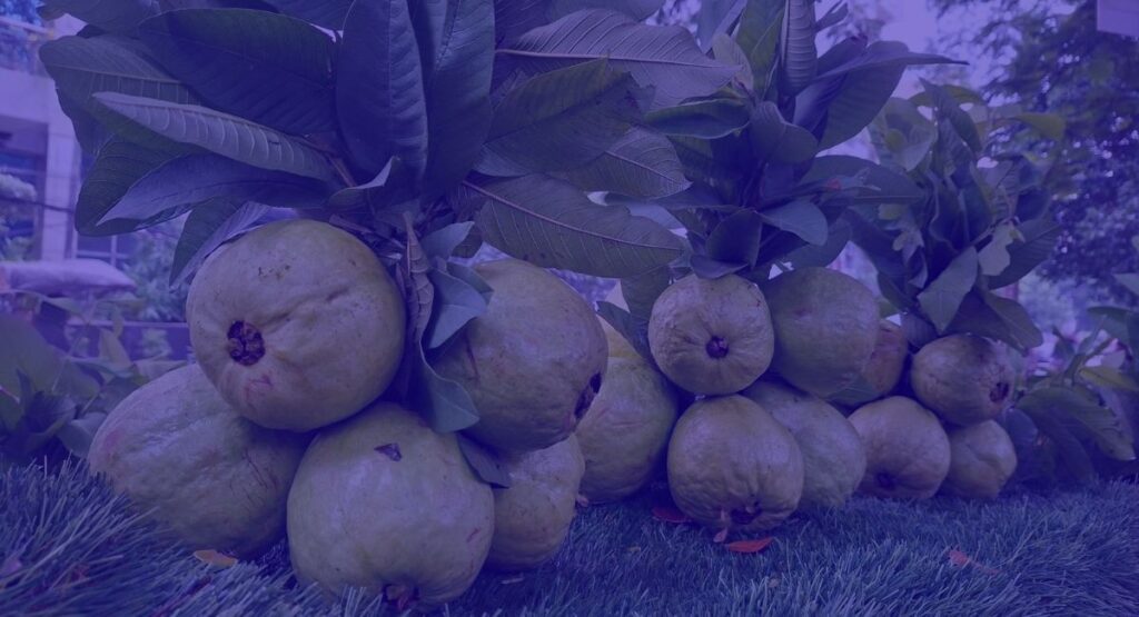 How to Relieve Constipation Naturally: